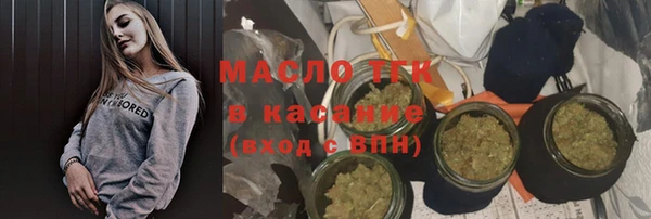 хмурый Мегион