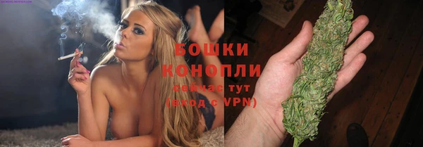 хмурый Мегион