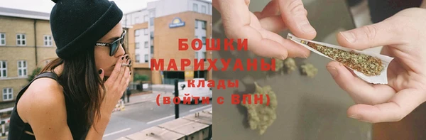 хмурый Мегион
