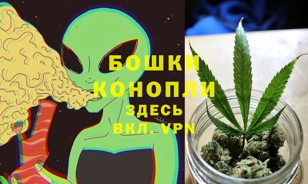 хмурый Мегион