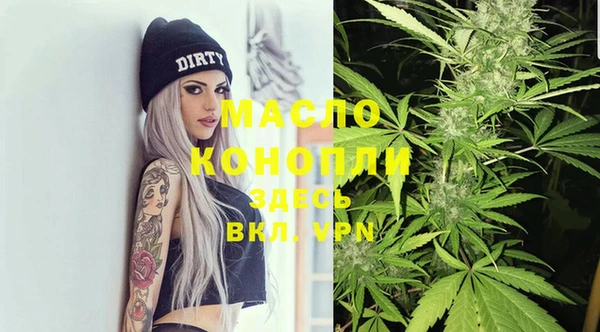 хмурый Мегион