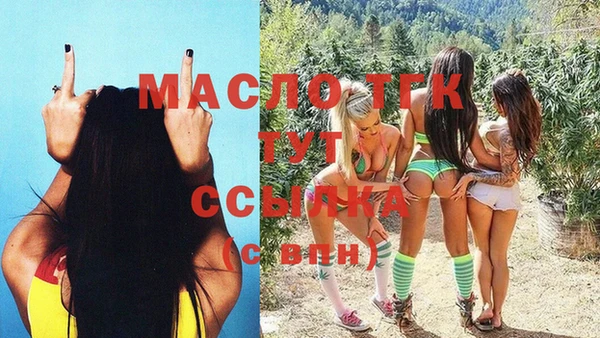 хмурый Мегион