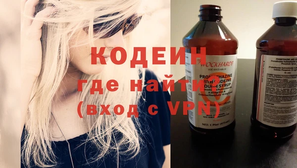 хмурый Мегион