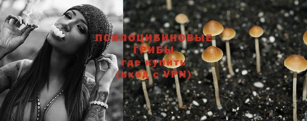 хмурый Мегион