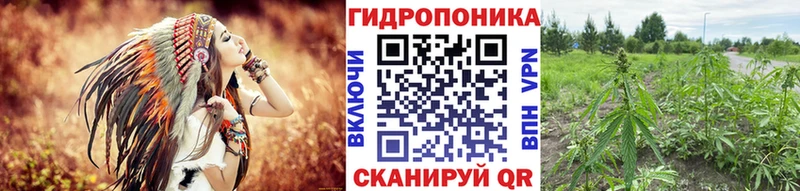 MEGA маркетплейс  сайты даркнета телеграм  Конопля VHQ  Гдов 
